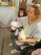 whatsapp image 2026-01-16 at 22.47.23 4